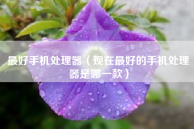 最好手机处理器（现在最好的手机处理器是哪一款）