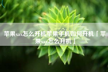 苹果xax怎么开机苹果手机如何开机「苹果xax怎么开机」