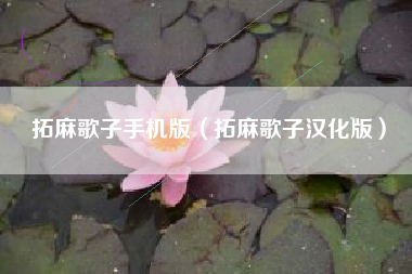 拓麻歌子手机版（拓麻歌子汉化版）