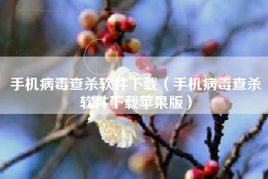 手机病毒查杀软件下载（手机病毒查杀软件下载苹果版）