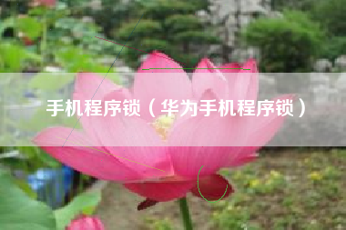 手机程序锁（华为手机程序锁）