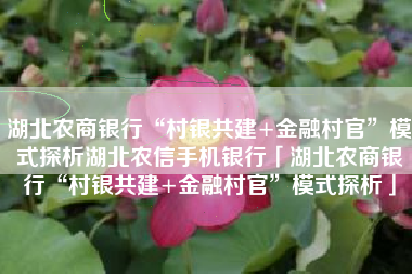 湖北农商银行“村银共建+金融村官”模式探析湖北农信手机银行「湖北农商银行“村银共建+金融村官”模式探析」
