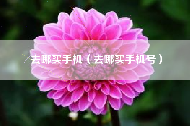去哪买手机（去哪买手机号）