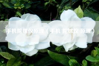 手机陀螺仪原理（手机 陀螺仪 原理）