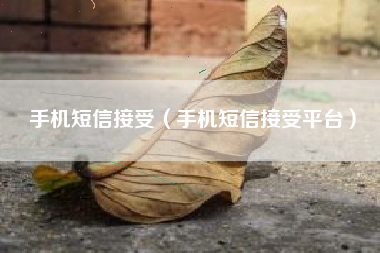 手机短信接受（手机短信接受平台）