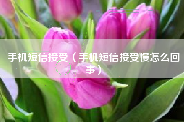手机短信接受（手机短信接受慢怎么回事）