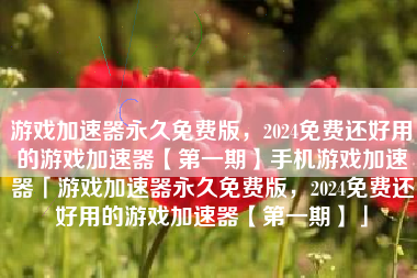 游戏加速器永久免费版，2024免费还好用的游戏加速器【第一期】手机游戏加速器「游戏加速器永久免费版，2024免费还好用的游戏加速器【第一期】」