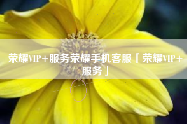 荣耀VIP+服务荣耀手机客服「荣耀VIP+服务」