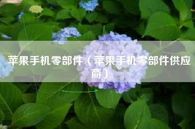 苹果手机零部件（苹果手机零部件供应商）