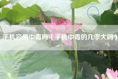 手机容易中毒吗（手机中毒的几率大吗）