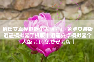 逍遥安卓模拟器个人版 v8.1.0 免费安装版逍遥模拟器手机版「逍遥安卓模拟器个人版 v8.1.0 免费安装版」