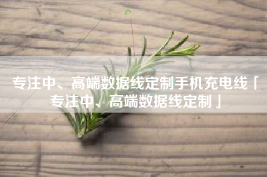 专注中、高端数据线定制手机充电线「专注中、高端数据线定制」 专注中、高端数据线定制手机充电线「专注中、高端数据线定制」