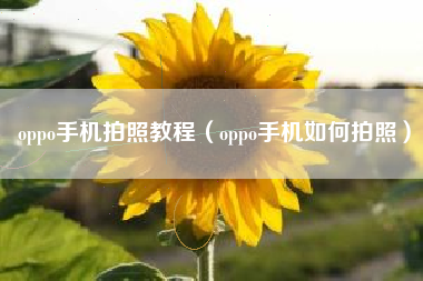 oppo手机拍照教程（oppo手机如何拍照）