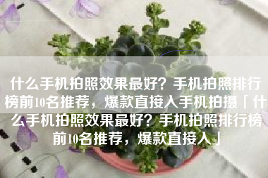 什么手机拍照效果最好？手机拍照排行榜前10名推荐，爆款直接入手机拍摄「什么手机拍照效果最好？手机拍照排行榜前10名推荐，爆款直接入」