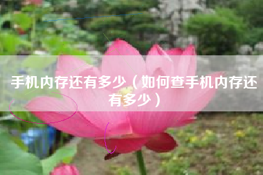 手机内存还有多少（如何查手机内存还有多少）