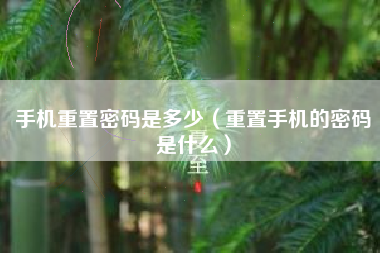 手机重置密码是多少（重置手机的密码是什么）