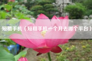 短租手机（短租手机一个月去哪个平台）
