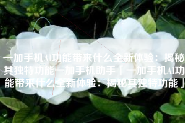 一加手机AI功能带来什么全新体验：揭秘其独特功能一加手机助手「一加手机AI功能带来什么全新体验：揭秘其独特功能」