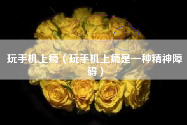 玩手机上瘾（玩手机上瘾是一种精神障碍）