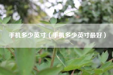 手机多少英寸（手机多少英寸最好）