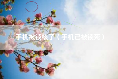 手机被锁核了（手机已被锁死）