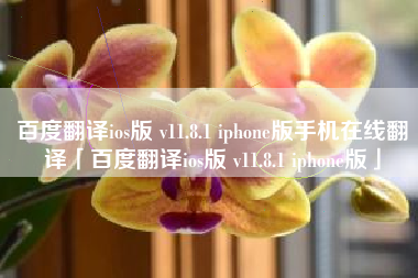 百度翻译ios版 v11.8.1 iphone版手机在线翻译「百度翻译ios版 v11.8.1 iphone版」