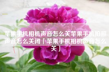 苹果手机相机声音怎么关苹果手机拍照声音怎么关闭「苹果手机相机声音怎么关」