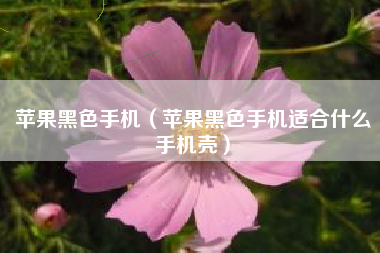 苹果黑色手机（苹果黑色手机适合什么手机壳）