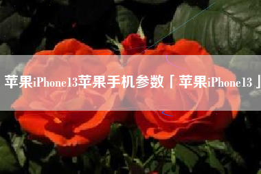 苹果iPhone13苹果手机参数「苹果iPhone13」