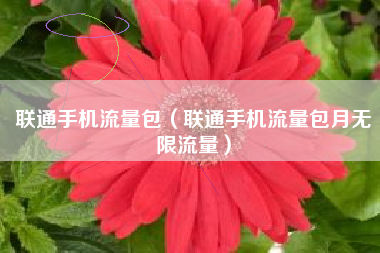 联通手机流量包（联通手机流量包月无限流量）