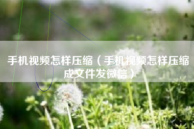手机视频怎样压缩（手机视频怎样压缩成文件发微信）
