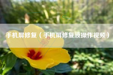手机屏修复（手机屏修复液操作视频）