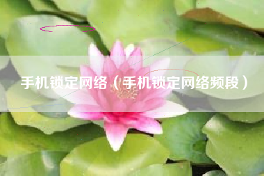 手机锁定网络（手机锁定网络频段）