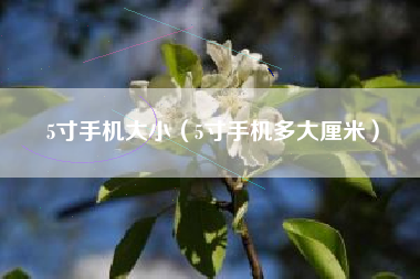 5寸手机大小（5寸手机多大厘米）