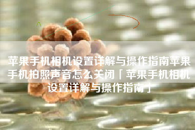 苹果手机相机设置详解与操作指南苹果手机拍照声音怎么关闭「苹果手机相机设置详解与操作指南」