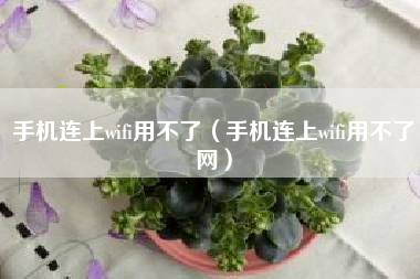 手机连上wifi用不了（手机连上wifi用不了网）