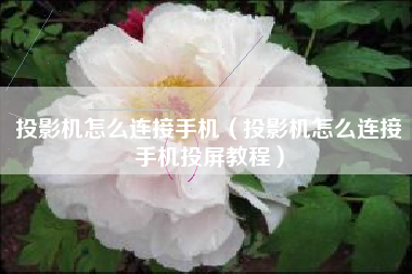 投影机怎么连接手机（投影机怎么连接手机投屏教程）