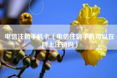 电信注销手机卡（电信注销手机可以在网上注销吗）