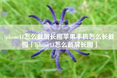 iphone11怎么截屏长图苹果手机怎么长截图「iphone11怎么截屏长图」