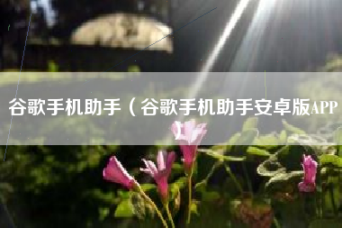 谷歌手机助手（谷歌手机助手安卓版APP）