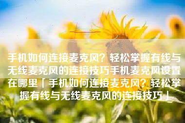 手机如何连接麦克风？轻松掌握有线与无线麦克风的连接技巧手机麦克风设置在哪里「手机如何连接麦克风？轻松掌握有线与无线麦克风的连接技巧」