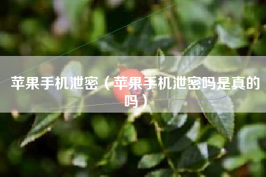 苹果手机泄密（苹果手机泄密吗是真的吗）