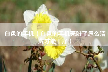 白色的手机（白色的手机壳脏了怎么清洗才能干净）