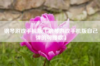 钢琴游戏手机版（钢琴游戏手机版自己弹的可搜歌）