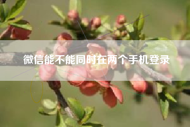 微信能不能同时在两个手机登录