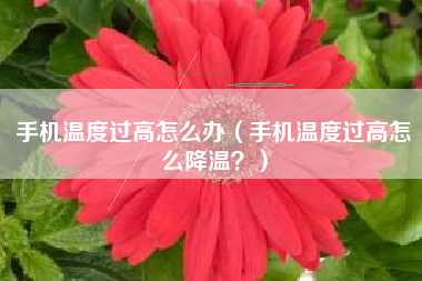 手机温度过高怎么办（手机温度过高怎么降温？）