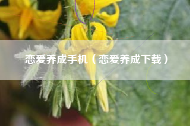 恋爱养成手机（恋爱养成下载）