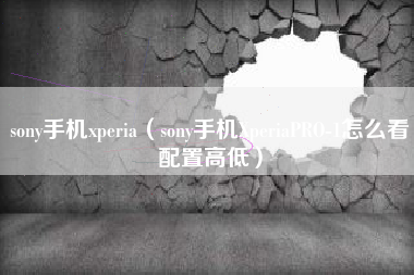 sony手机xperia（sony手机XperiaPRO-1怎么看配置高低）