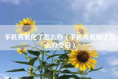 手机壳氧化了怎么办（手机壳氧化了怎么办变白）