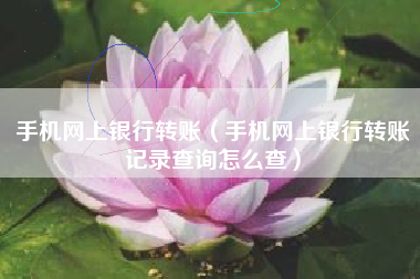 手机网上银行转账（手机网上银行转账记录查询怎么查）